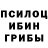 ГАШИШ гарик Sylvaline Logo