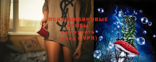крисы Ельня