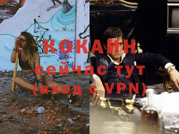 крисы Ельня