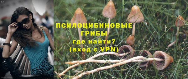 крисы Ельня