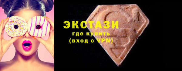 крисы Ельня