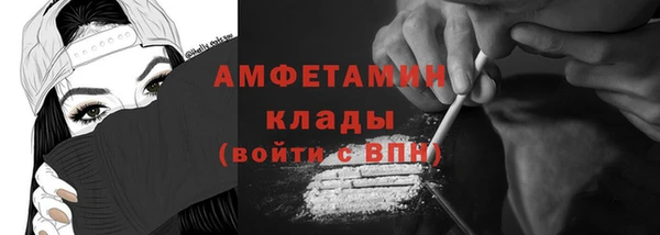 крисы Ельня