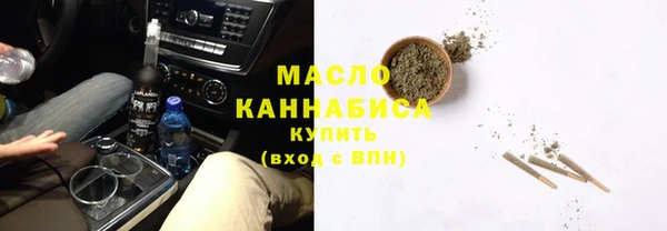крисы Ельня