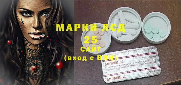 крисы Ельня
