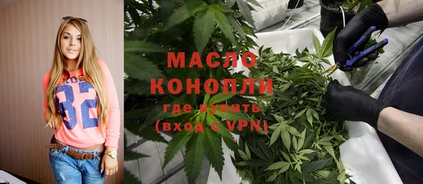 крисы Ельня