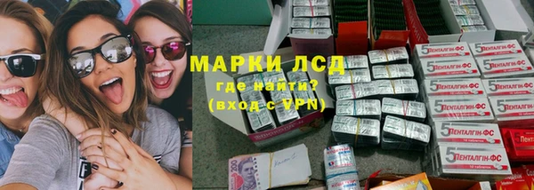 крисы Ельня