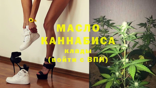 крисы Ельня