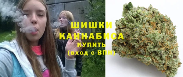 крисы Ельня