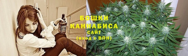 крисы Ельня