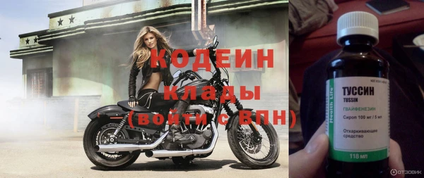крисы Ельня