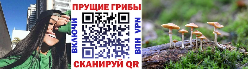 Галлюциногенные грибы ЛСД  Купить  Киреевск 